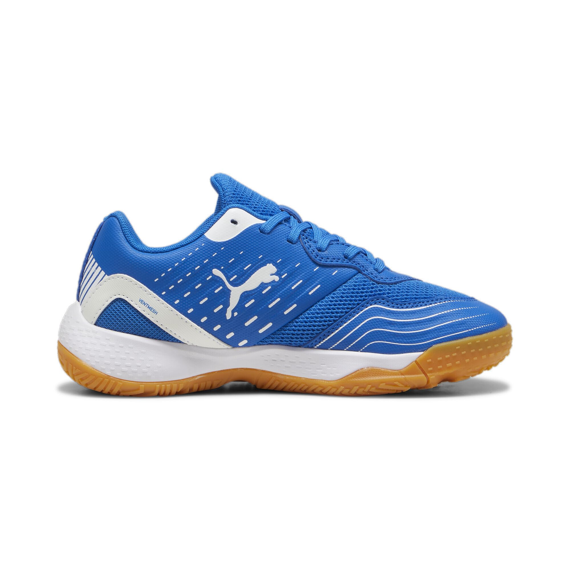 Puma Unisex Kinder Solarflash III JrIndoor Court Shoe