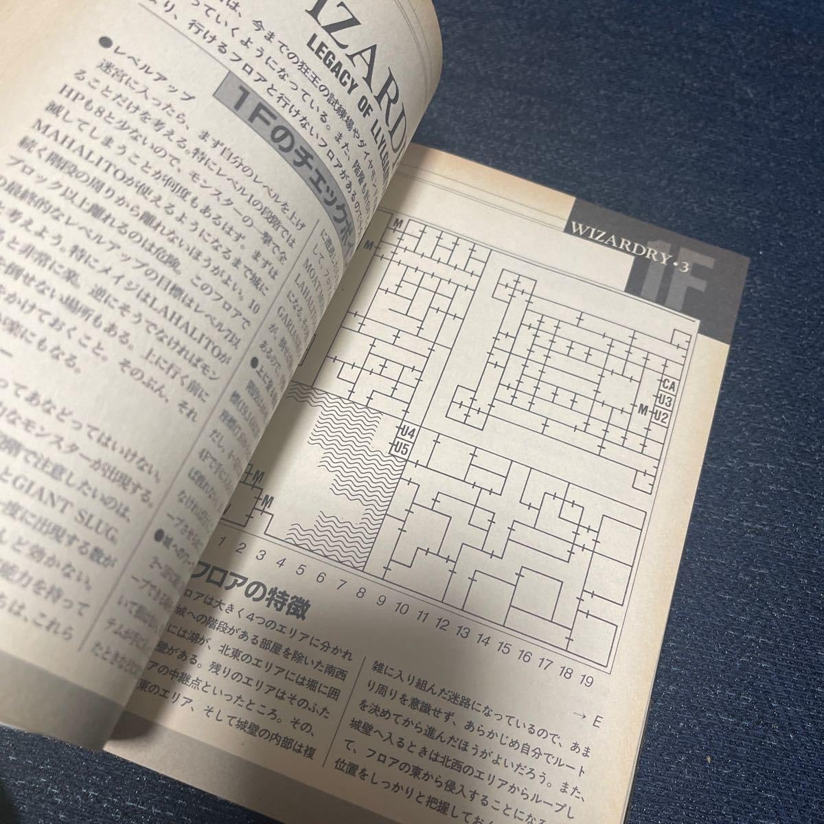 Amazon.co.jp: 激レア本 ウィザードリィ事典 ENCYCLOPEDIA OF WIZARDRY