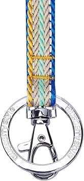 Blueberry Pet 3M Reflective Multi-colored Stripe Ginger and Blue Men Women Fashion Non Breakaway Lanyard Keychain for Keys/ID Card/Badge Holder, 1/2 Wide