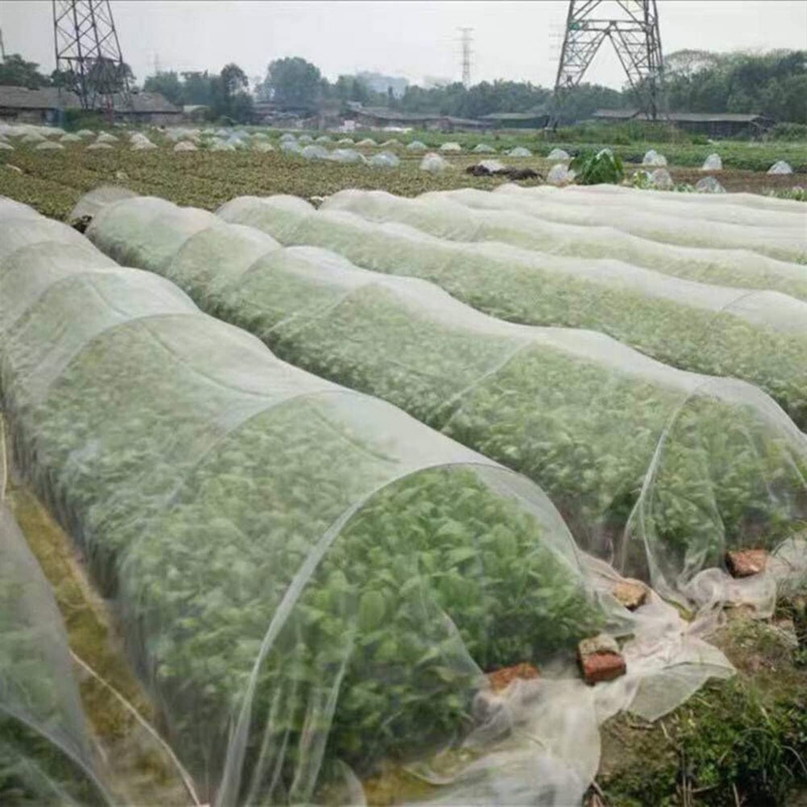 Telo Protettivo antigelo per Piante Tessuto Non Tessuto Traspirante per la Copertura di aiuole di Verdure (Size : 2.4mx9m)
