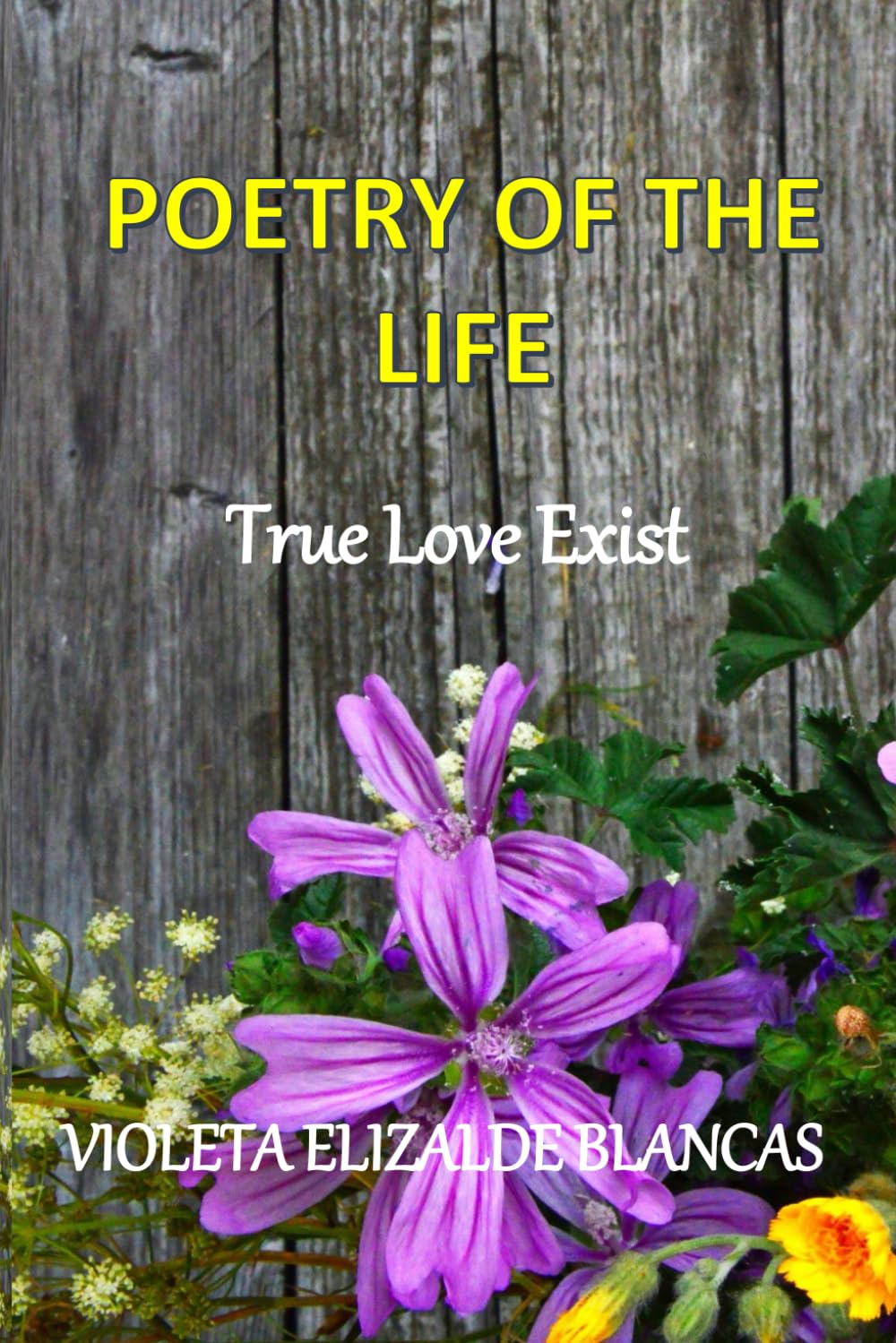 Poetry of Love: True Love Exist