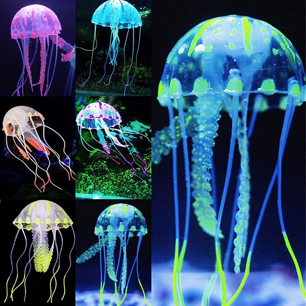 Dzrige 3 Stck Quallen Aquarium-Dekorationen, 15,2 x 5,1 cm, knstliche  Simulation, fluoreszierendes Silikon, schwimmende Qualle, verleiht dem  Aquarium Schnheit : Amazon.de: Haustier