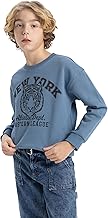 DeFacto boys Regular Fit Round Neck Basic Knit Sweatshirt