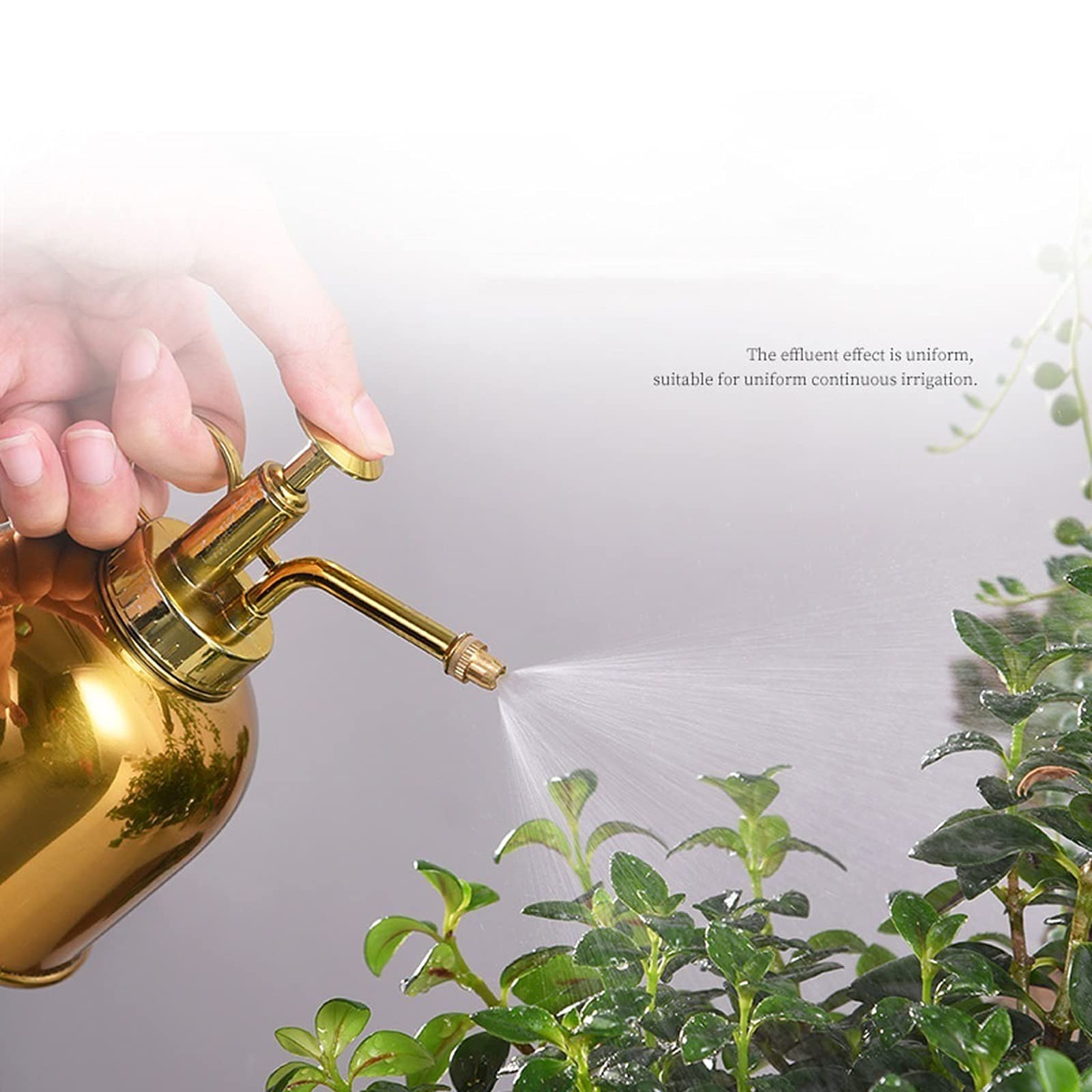 Arrosoir, arrosoir de jardin, arrosoir en acier inoxydable, mise à niveau du mini pulvérisateur de plantes, pot d'arrosage de 10 oz 300 ml for plantes de jardinage d'intérieur et d'extérieur, couleur