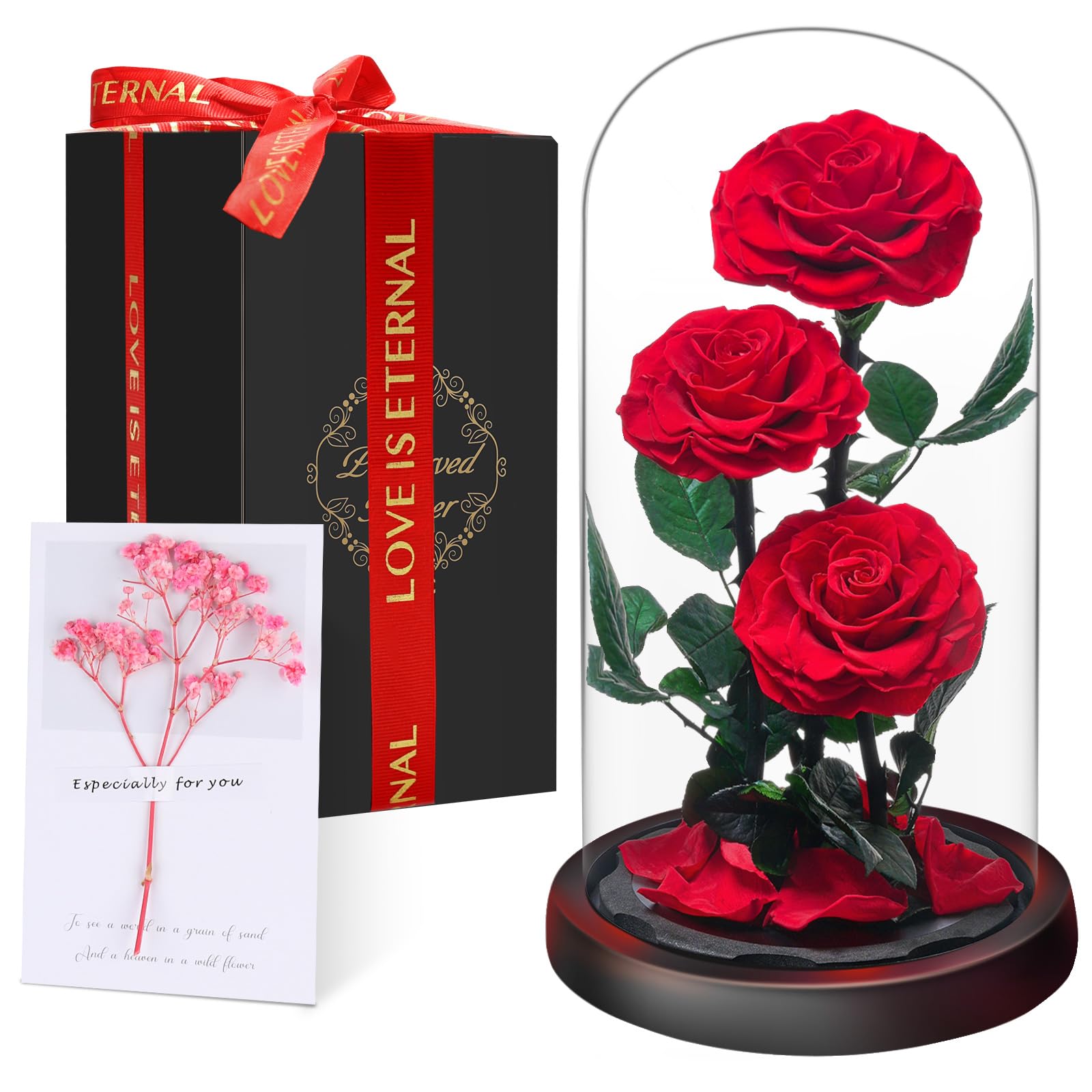 Ewige Rose im Glas, Drei Rote Rosen, Konservierte Echt Blume für 5 Jahre, Infinity Rose, Besondere Geschenk für Frauen, Mama, Freundin, für Sie, zum Valentinstag, Jahrestag, Geburtstag, Muttertagn