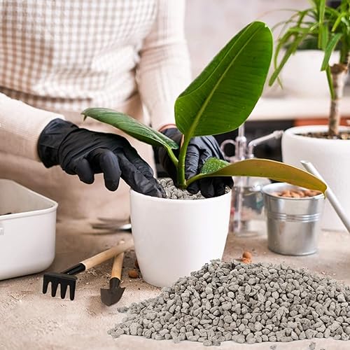 Miniatura 5 de Sukh Piedra pómez hortícola - Piedra pómez para plantas suculentas Cactus Bonsái Orquídea Suelo Enmienda 14.46 oz