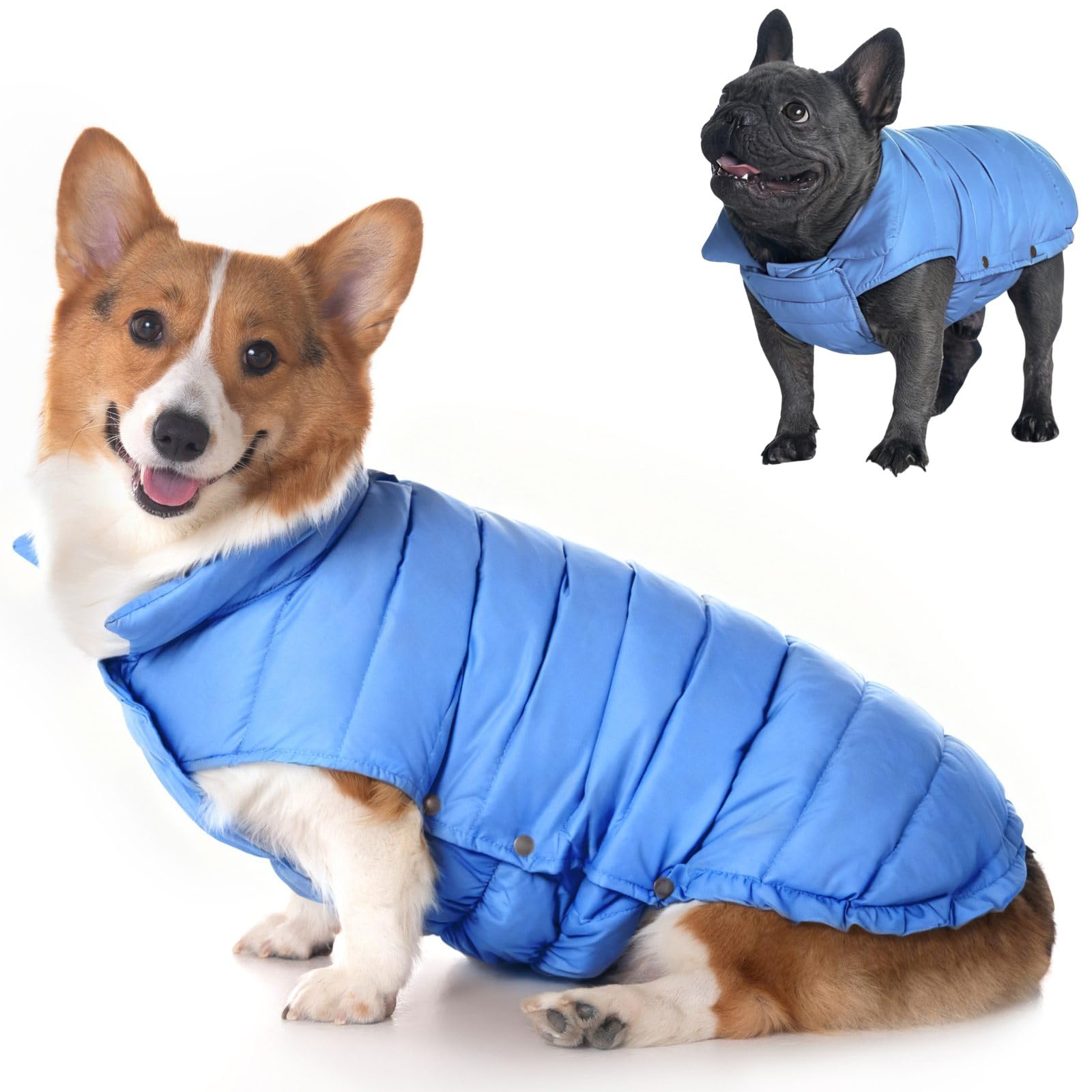 Manteau d'extérieur pour chien imperméable SPACE LION bleu pour randonnée