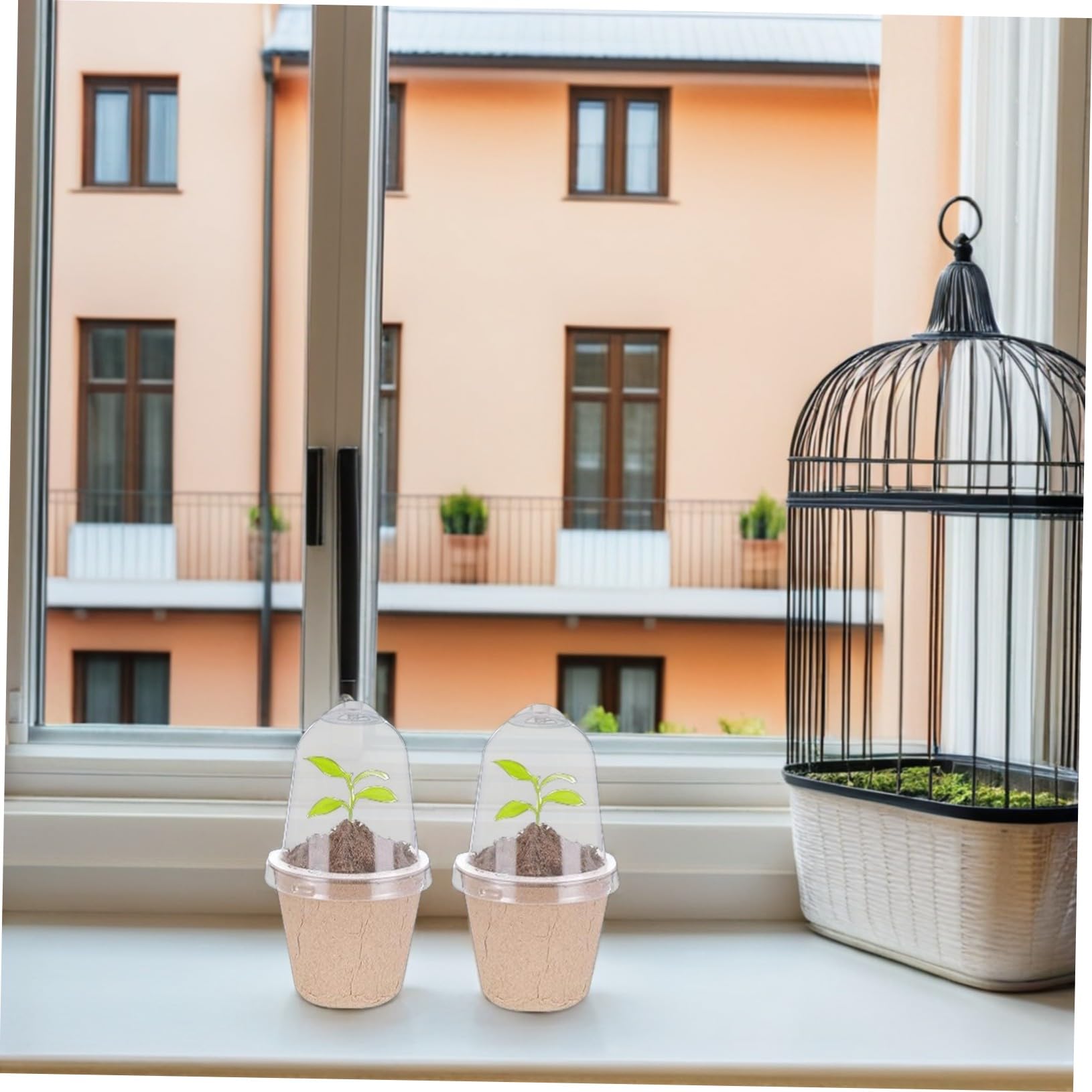 40 Pièces Pots de Culture Ronds de Papier pour Semis Contrôle Humidité Équilibré et Croissance des Racines pour Jardinage Intérieur et Projets Scolaires