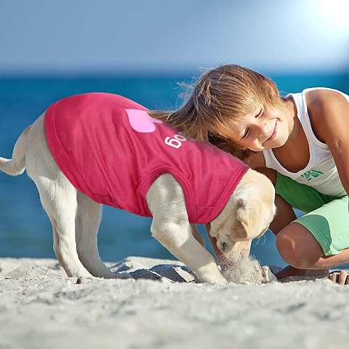 Miniatura 5 de 6 piezas camisa para perro, sudadera para cachorro, chaleco sin mangas para mascotas, ropa para perros pequeños a medianos, cachorros, gatos