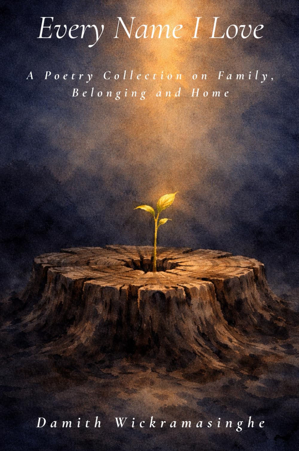 Every Name I Love: A Poetry Collection on Family, Belonging and Home