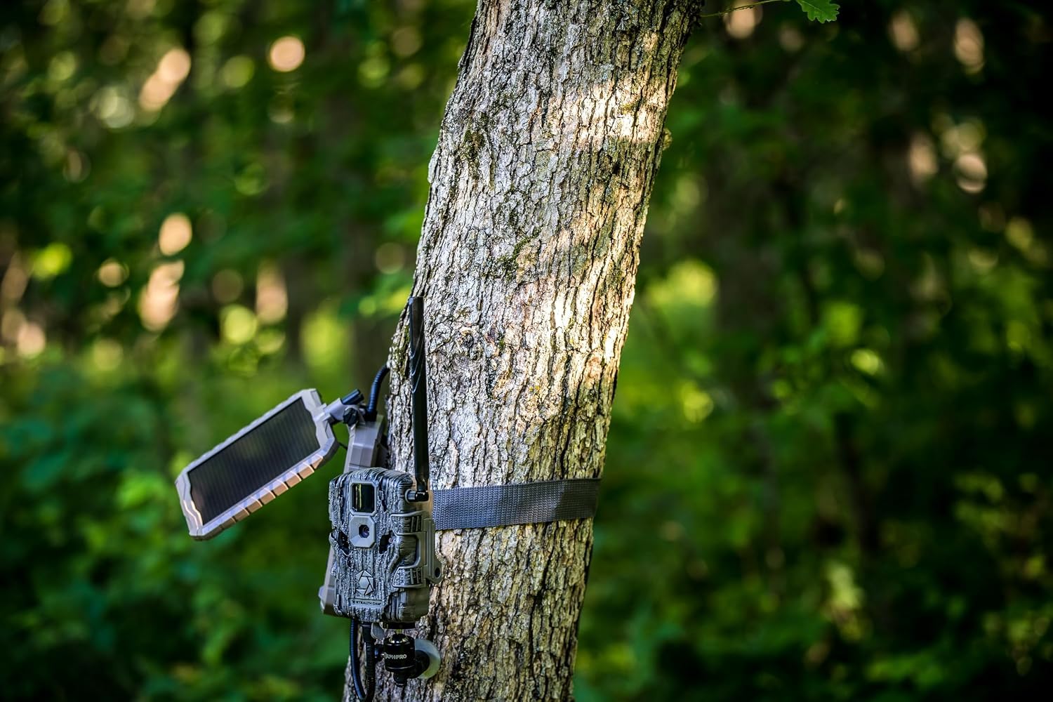 Stealth Cam Stealth Solar Power Panel, Multi, jeden rozmiar