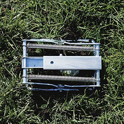 Aspectek Mole Trap - Effective And Easy-To-Use Solution For Mole Control In Your Garden And Yard - Best Mole Traps For Quick And Humane Mole Removal #TOP6