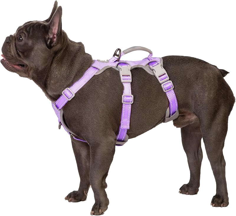 Peitoral Vest para Cães Huntboo com Alça e Faixas Refletivas, Ajustável, Lavender Purple, M