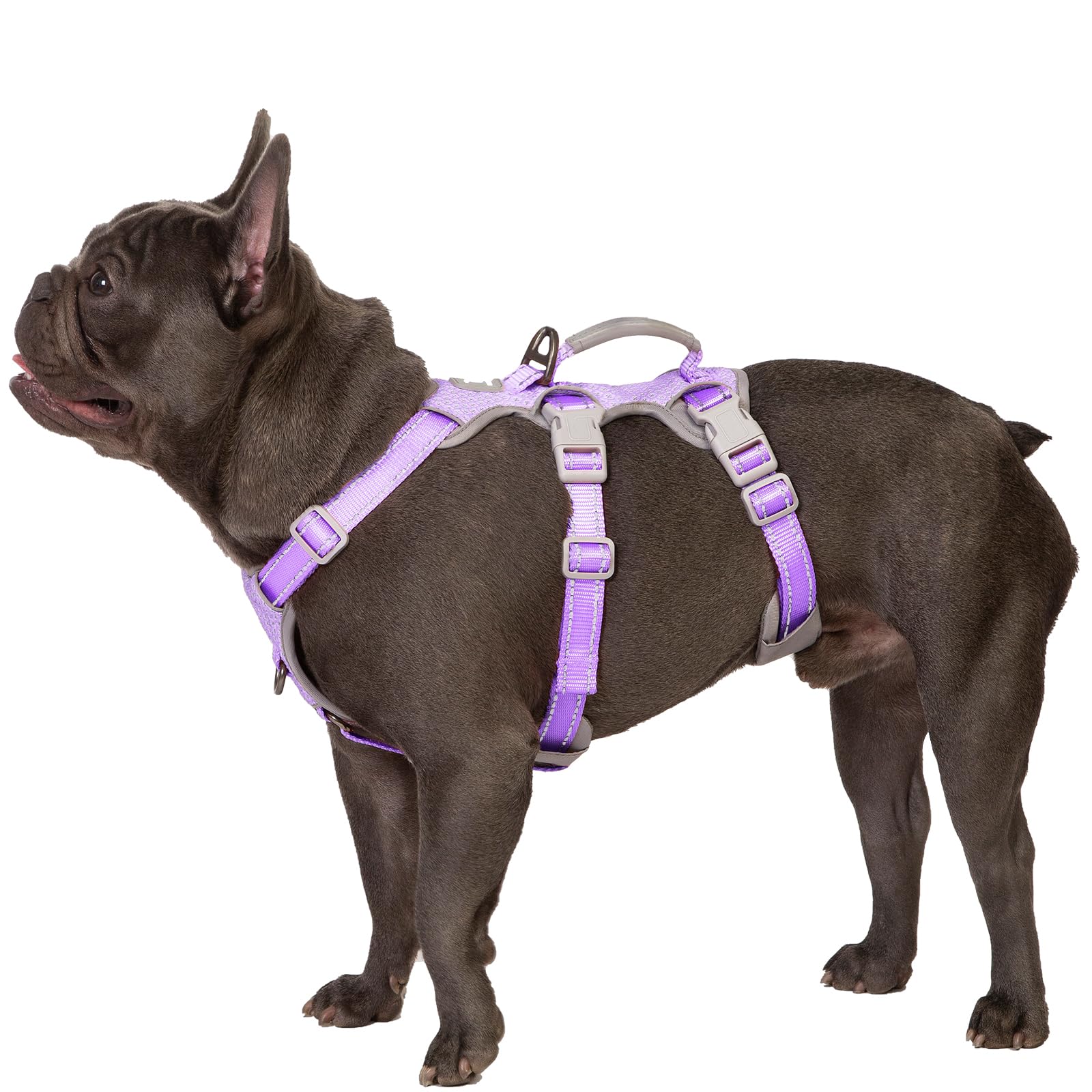 Escape Proof Dog Harness Secure Dog Harness No Escape Fully
