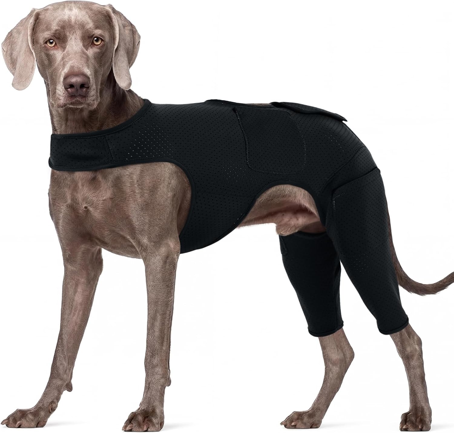ROZKITCH Dog Post-Op Recovery Suit with Hot & Cold Therapy Pockets, Supportive Neoprene Fabric, Waterproof & Breathable, for Extra Large Dogs, Black 2XL