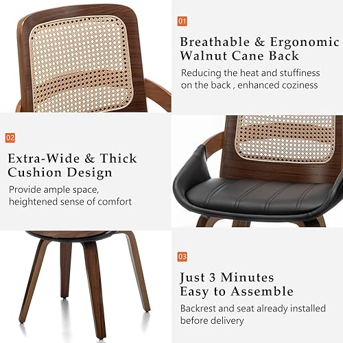 Miniatura 3 de Juego de 1 silla de comedor de ratán, silla moderna de mediados de siglo con respaldo ergonómico de caña, marco de madera curvada, asiento de piel