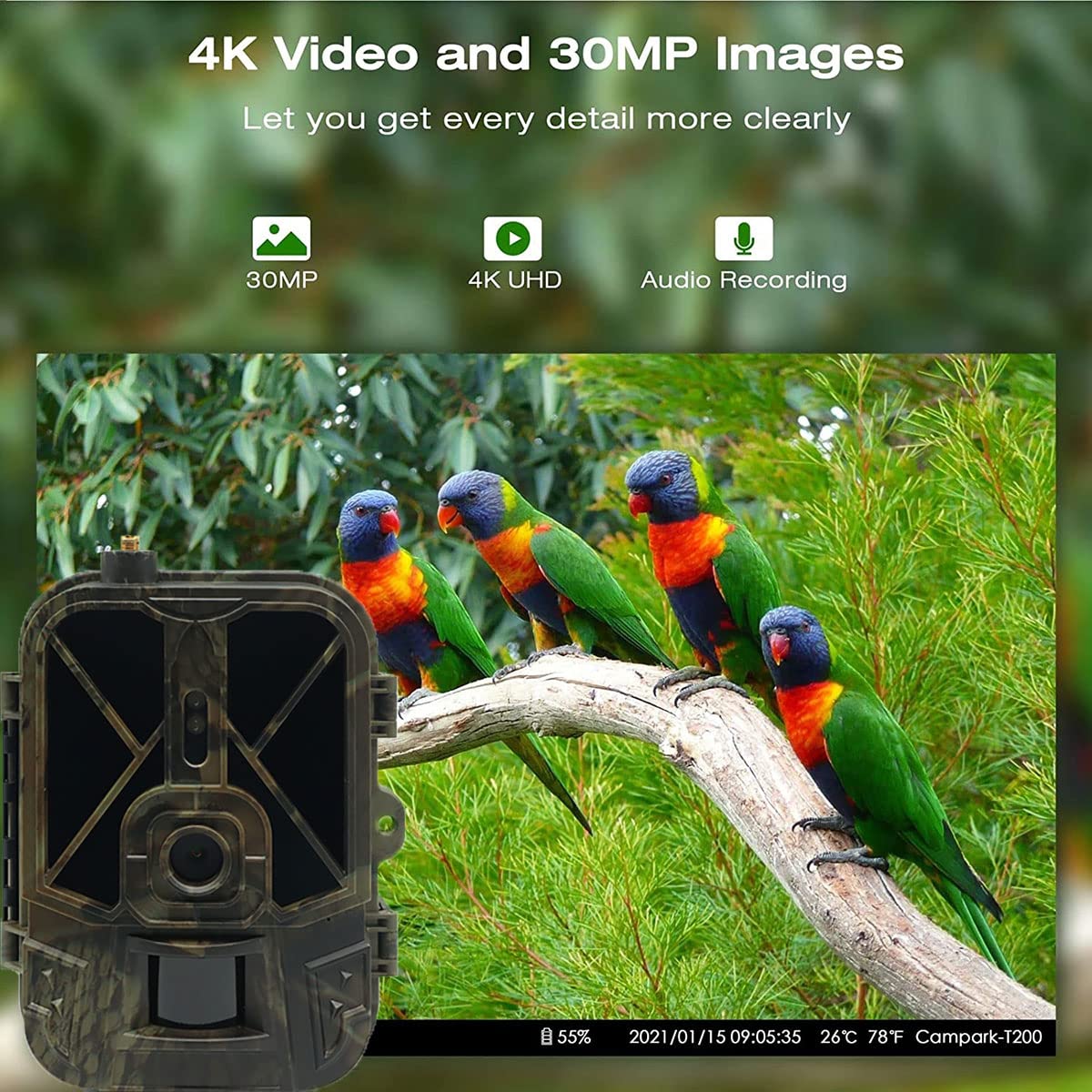 Kamera myśliwska leśna 4G 4K 30MP APP HD wideo na żywo, Bateria litowa 10000 mAh dzika przyroda do gier z noktowizorem na podczerwień, kamera monitoringowa zasięg noktowizora o długości 25m