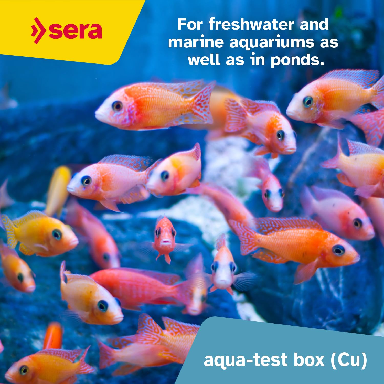 sera Aqua Test Box | Test de Agua para acuarios de Agua Dulce | 9 Tests para los valores más Importantes del Agua