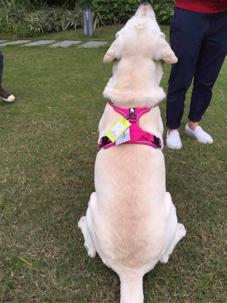 SGODA Dog Harness No Pull Harness with Handle Reflective Dog Vest, Small, Fuchsia