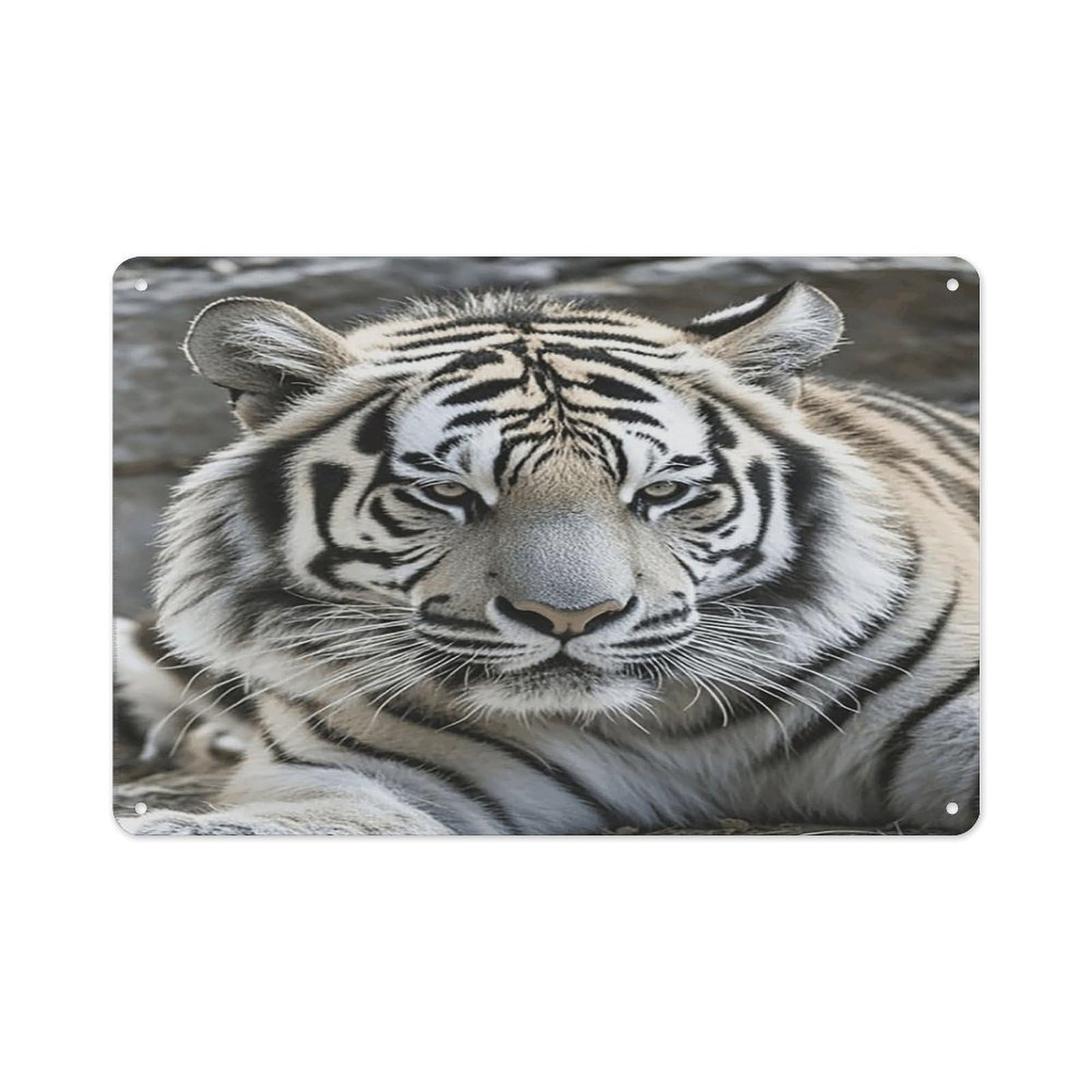 VstaDank Metal Aluminum Black And White Tiger Sign Wall Decor Vintage Metal Sign Plaque Boho Wall Hanging Decor Sublimation Picture Panel Personalized Plaque Poster 8x12in