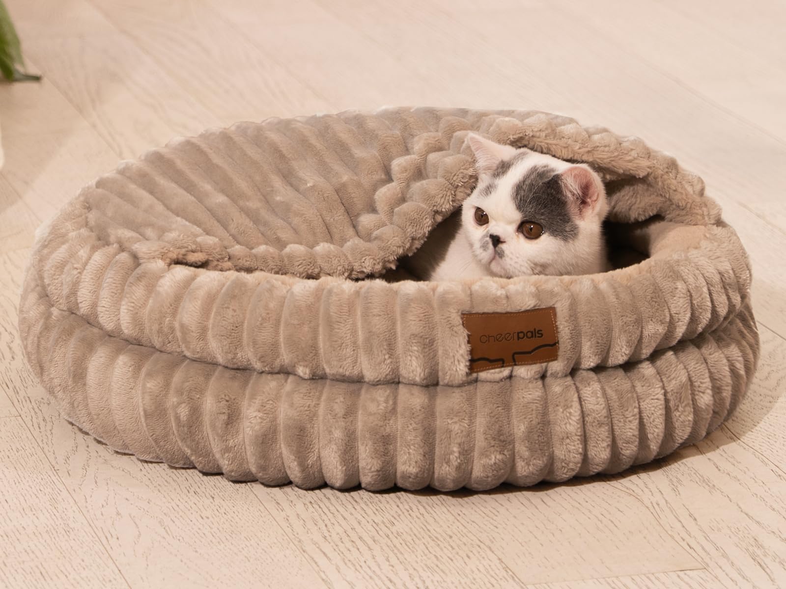 CheerPals Panier Chat avec Couvercle, Lit pour Chat Forme Grotte Épais (1,41 KG), Coussin Douillet avec Toit, Niche Intérieure pour Cachette et Sommeil, 50x50x15 cm