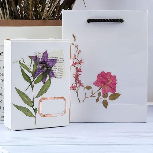 Miniatura 3 de 160 calcomanías naturales para álbumes de recortes, florales y plantas, para manualidades, planificadores, diarios, cuadernos, laptop, teléfono