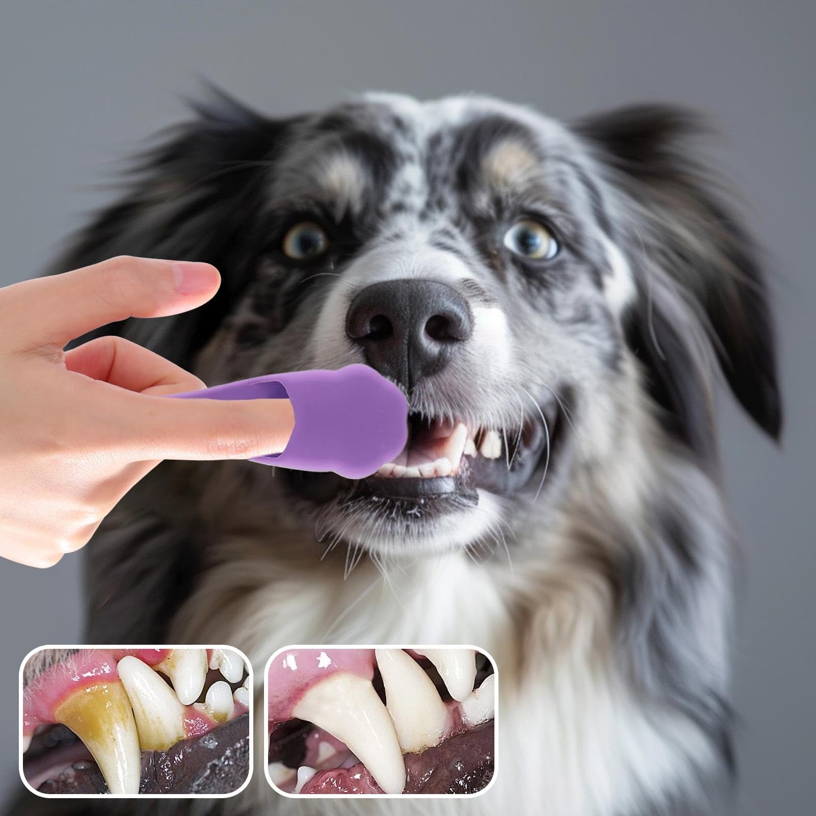 Brush Per I Denti Dei Cani, Spazzolino Da Denti Per Gatti, Strumento Di Pulizia Orale Di Gattino, Spazzuccio Da Denti Dita A Setole Morbide Per La Pulizia Dei Denti Da Compagnia E La Cura Orale