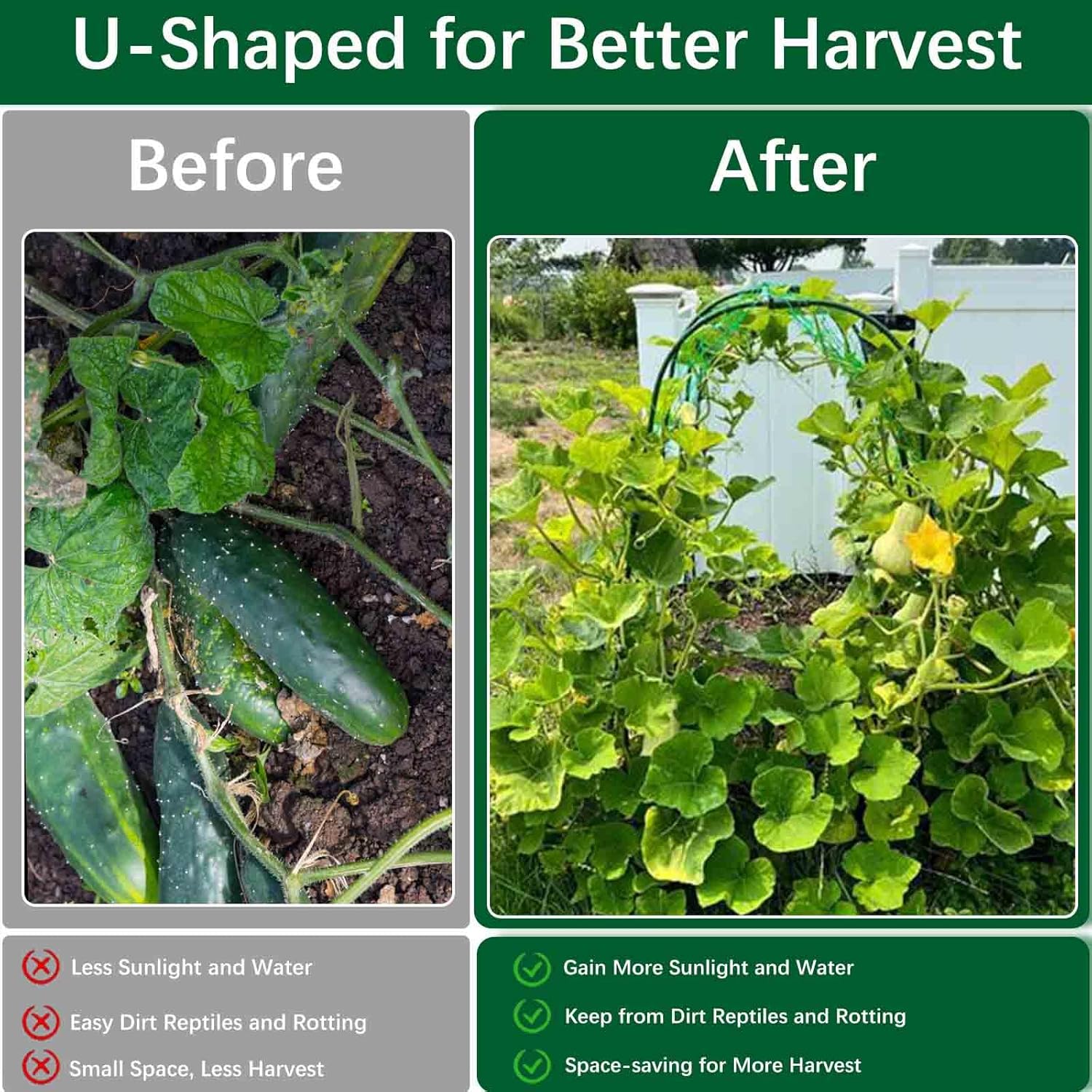 65x65 inch U-Shaped Steel Raised Garden Bed with Tomato Support, Integrated Trellis for Climbing Vegetables Squash Cucumbers Grapes, Durable Steel Arch Frame with Net Clips