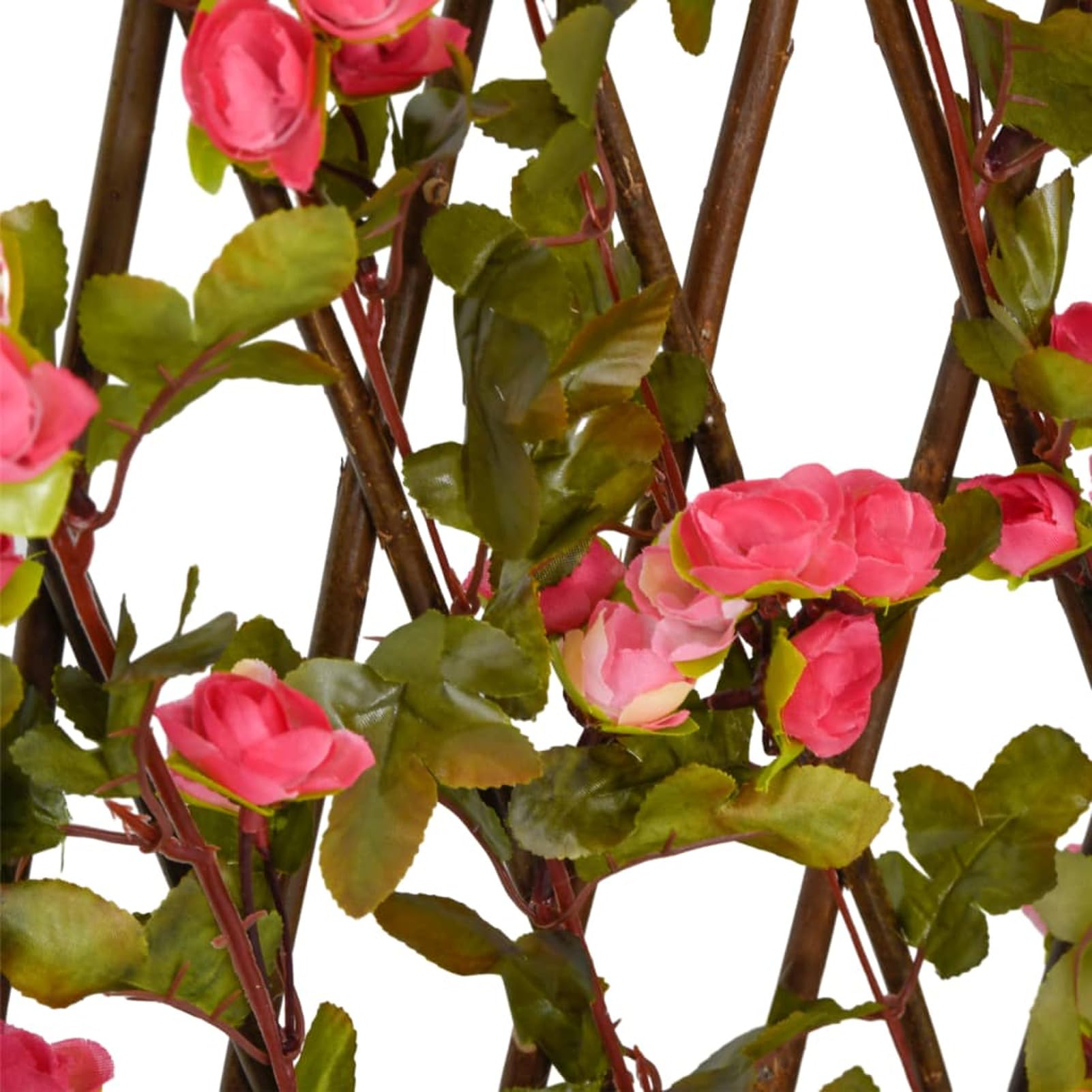 fargesia murielae blüte Bambus (nicht wuchernd) main image 0