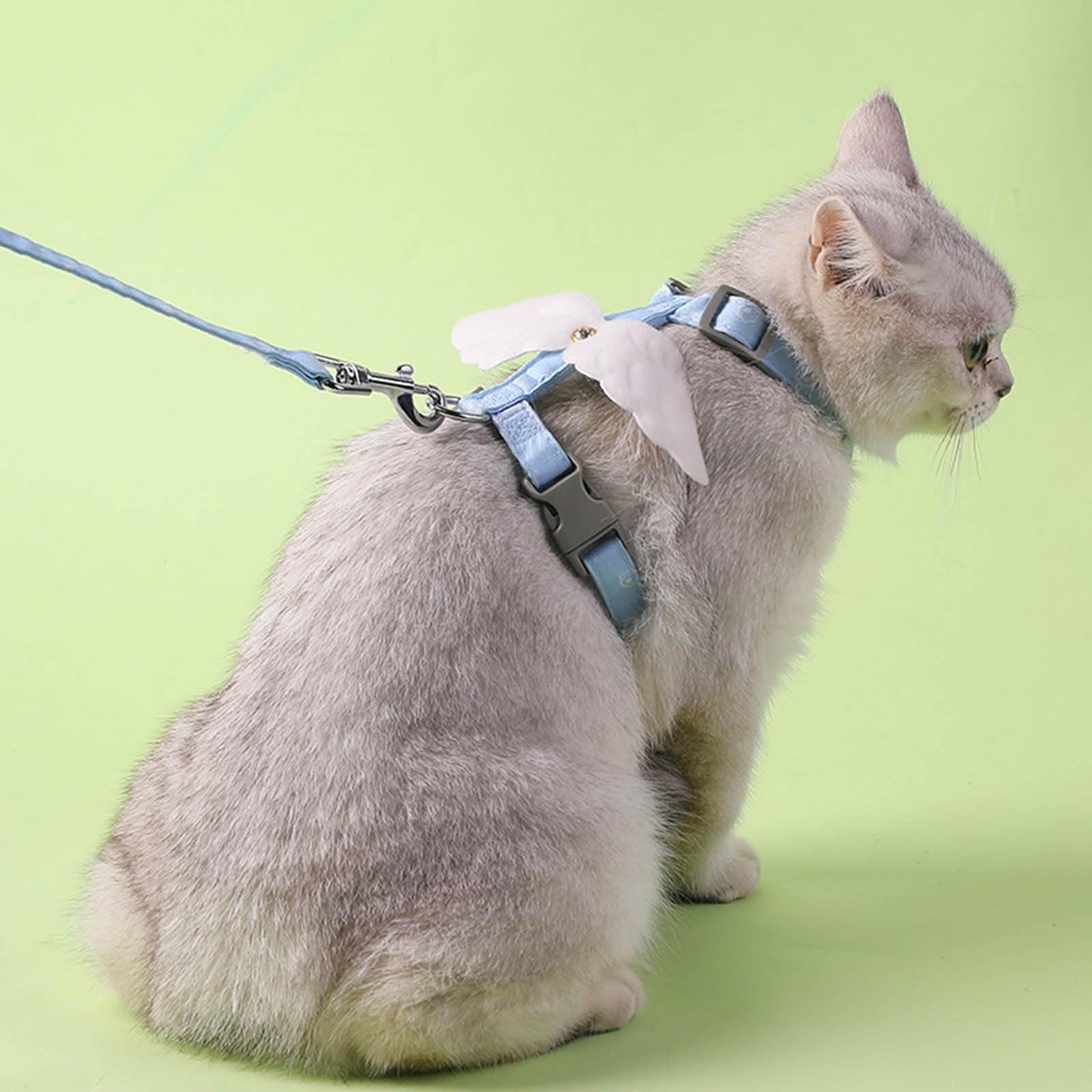 Guinzaglio a prova di fuga regolabile per gattino set imbracatura