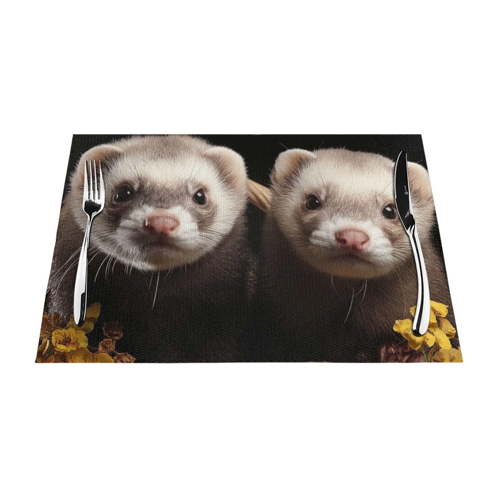 Placemats Set of 4 PCS Washable PVC Table Mats Heat Resistant Vinyl Woven Place Mats Ferrets Placemats Non-Slip Wipeable Placemats for Kitchen Dining Table Decoration 45 x 30 cm