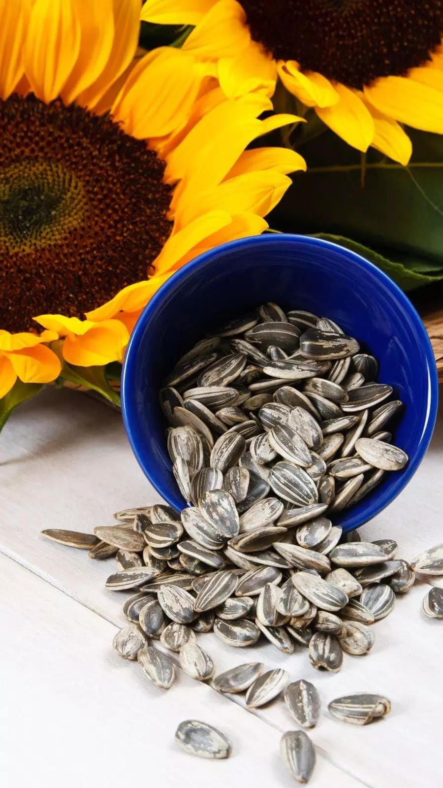 Ariya Premium|Selected Sunflower Seeds (Big Size) for Parrots, Parakeets |Net Weight 900 GM (B0D56FL313) Amazon Price History, Amazon Price Tracker