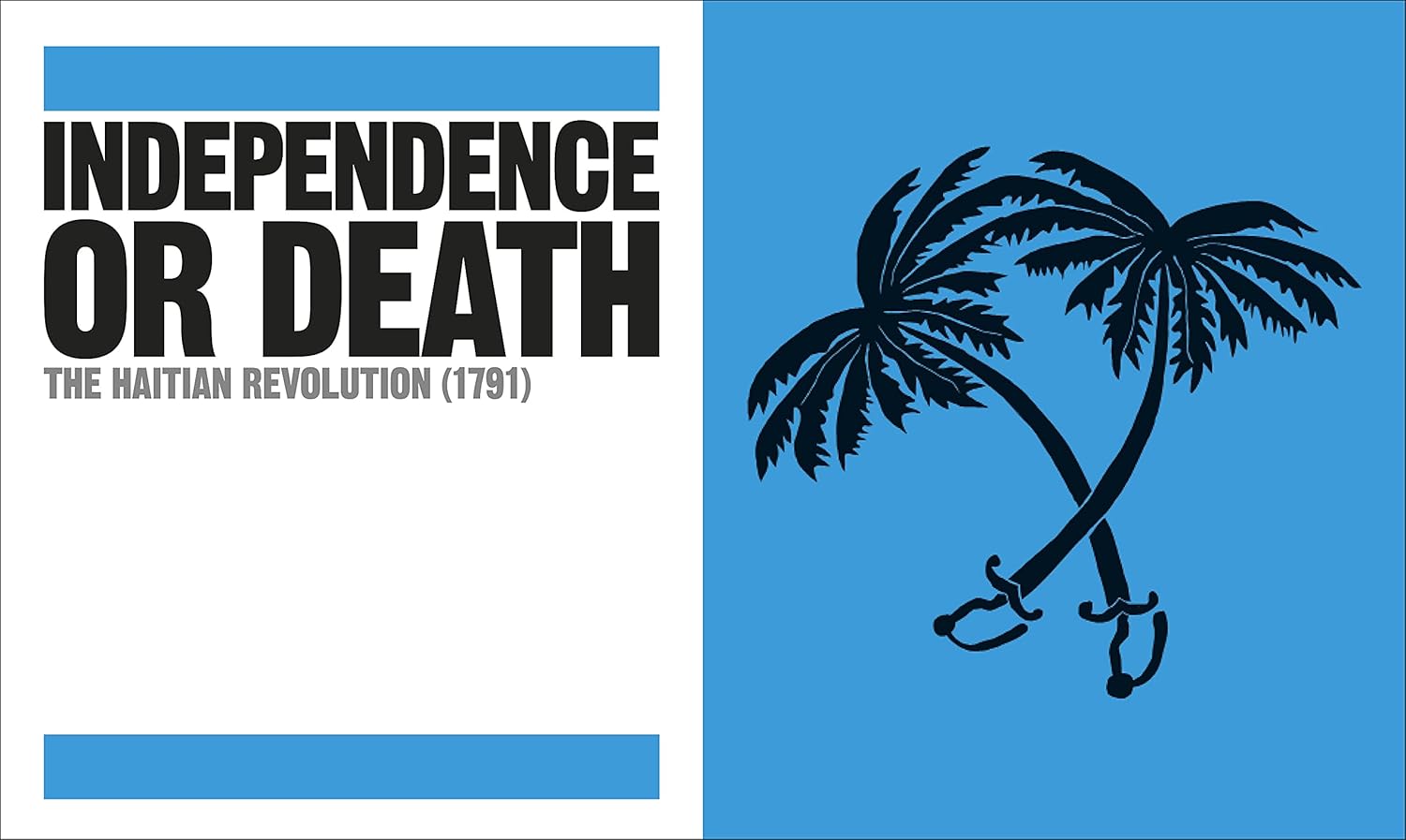 The Black History Book: Big Ideas Simply Explained      Hardcover – November 23, 2021