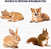 Vista 5 de Catéter de succión con extractor de moco estéril para cachorros recién nacidos, kit de alimentación de tubo de 8 FR rojo con jeringas de 0.7 onzas