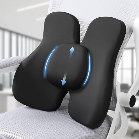 Lumbar Support Pillow, Memory Foam Back Support for Offic...