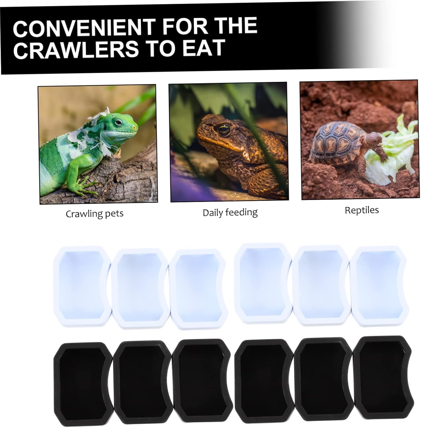 BESPORTBLE 40pcs Reptile Feeding Bowls Food and Water Dishes for Lizard Turtle and Snakes Easy to Use Inward Design Prevents Food Escape