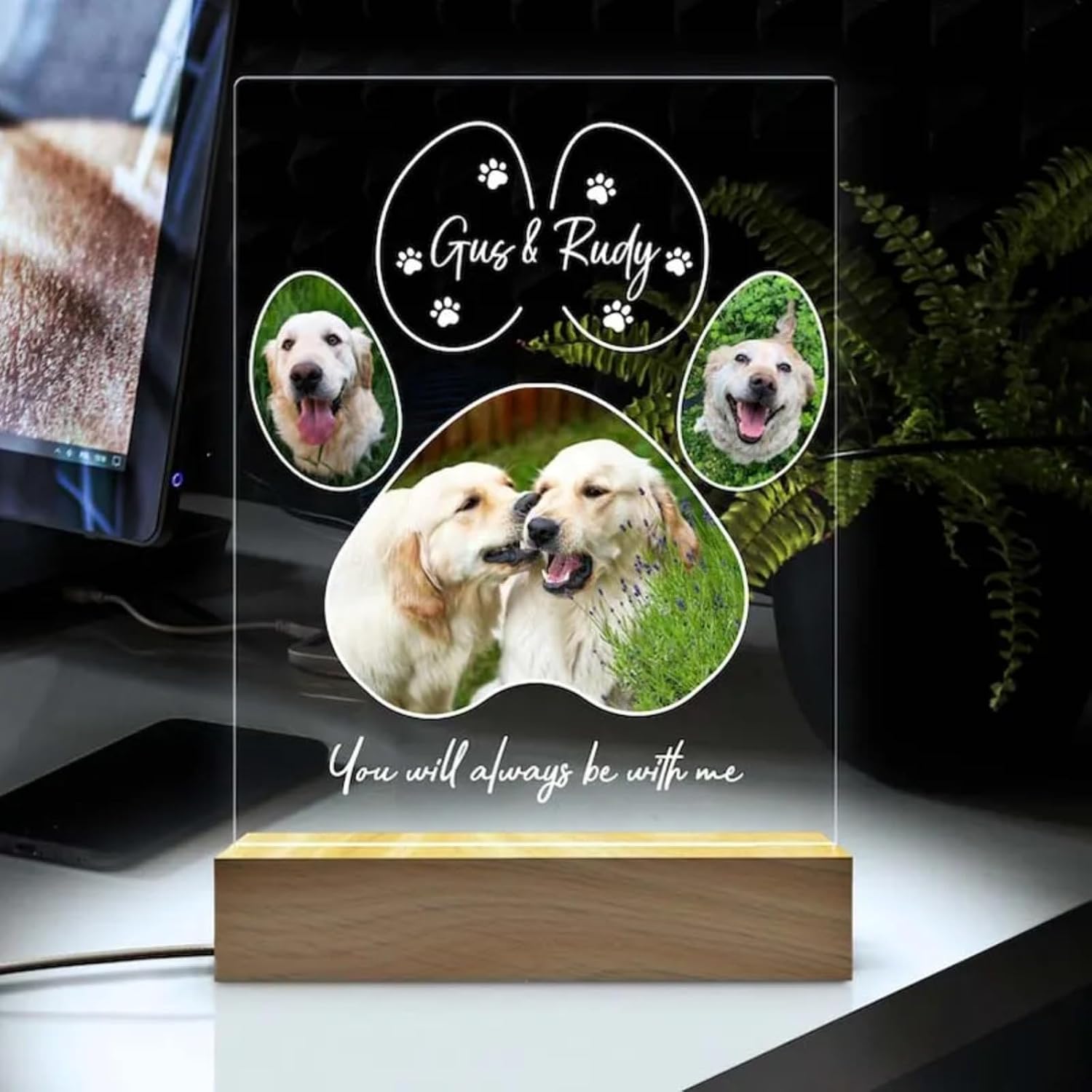 Personalized Pet Acrylic Photo Frames Personalized Pet Photo Night Light Customized Dog Cat Memorial Photo Lamp (1)