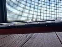 Review Image by Aaliyah Oliver Aaliyah Oliver