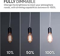 Vista 3 de Hudson Bulb Co. Bombillas LED Edison vintage, 6 W, base E26/E27, regulable equivalente a 60 W, luces blancas de luz diurna de 4000 K, estilo ST58