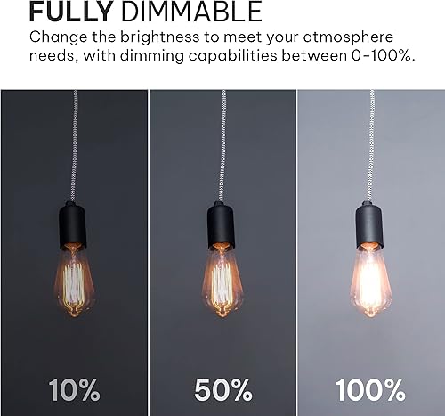 Miniatura 3 de Hudson Bulb Co. Bombillas LED Edison vintage, 6 W, base E26E27, regulable equivalente a 60 W, luces blancas de luz diurna de 4000 K, estilo ST58