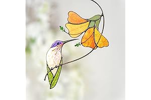 Nature's Canvas: Luminous Hummingbird Suncatcher