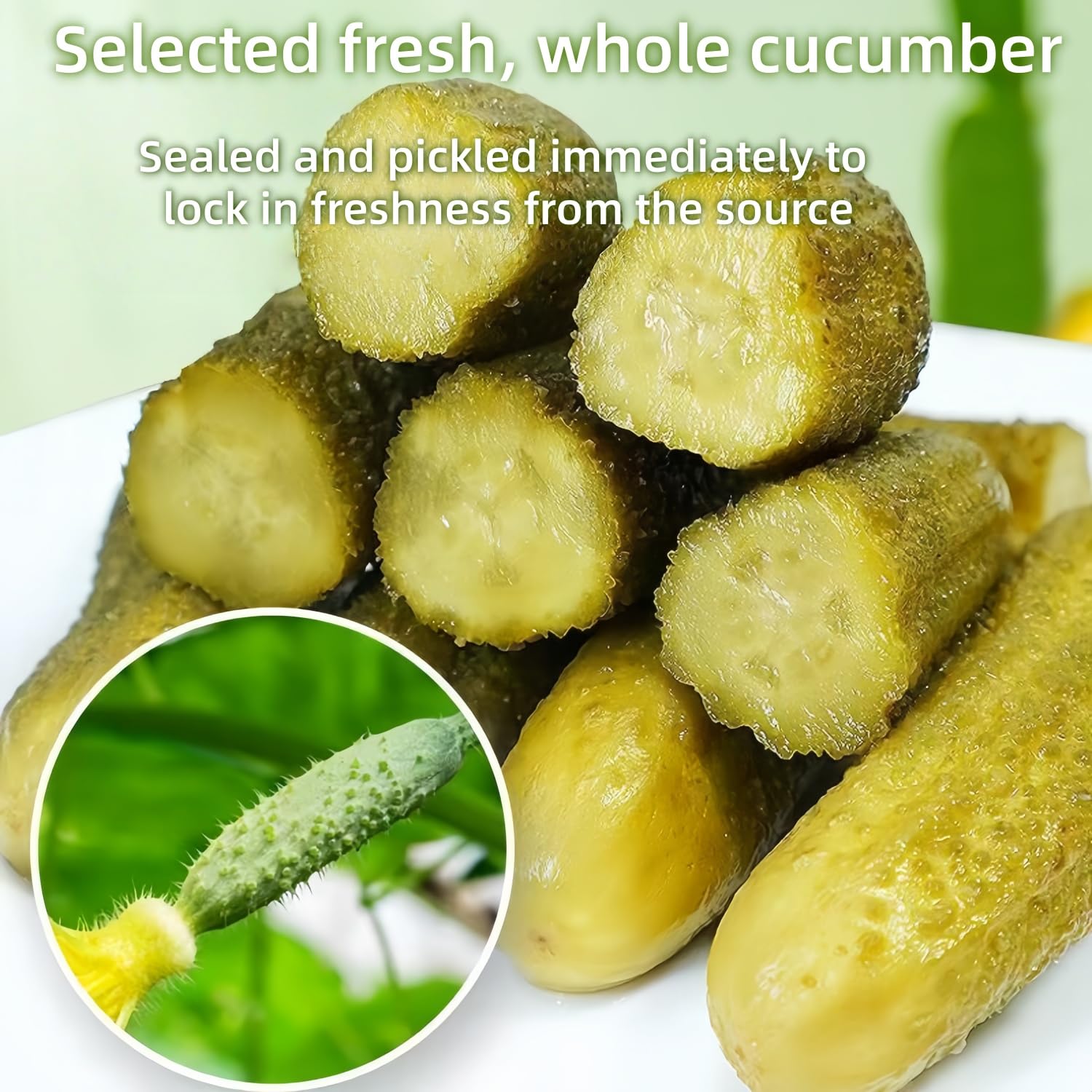 WSYLS-Crispy Kosher Dill Pickles | pickled vegetables gherkins pickles|Perfect for Burgers, Sandwiches, and Snacks | Crisp, Flavorful, and Delicious，11.64oz （330g）