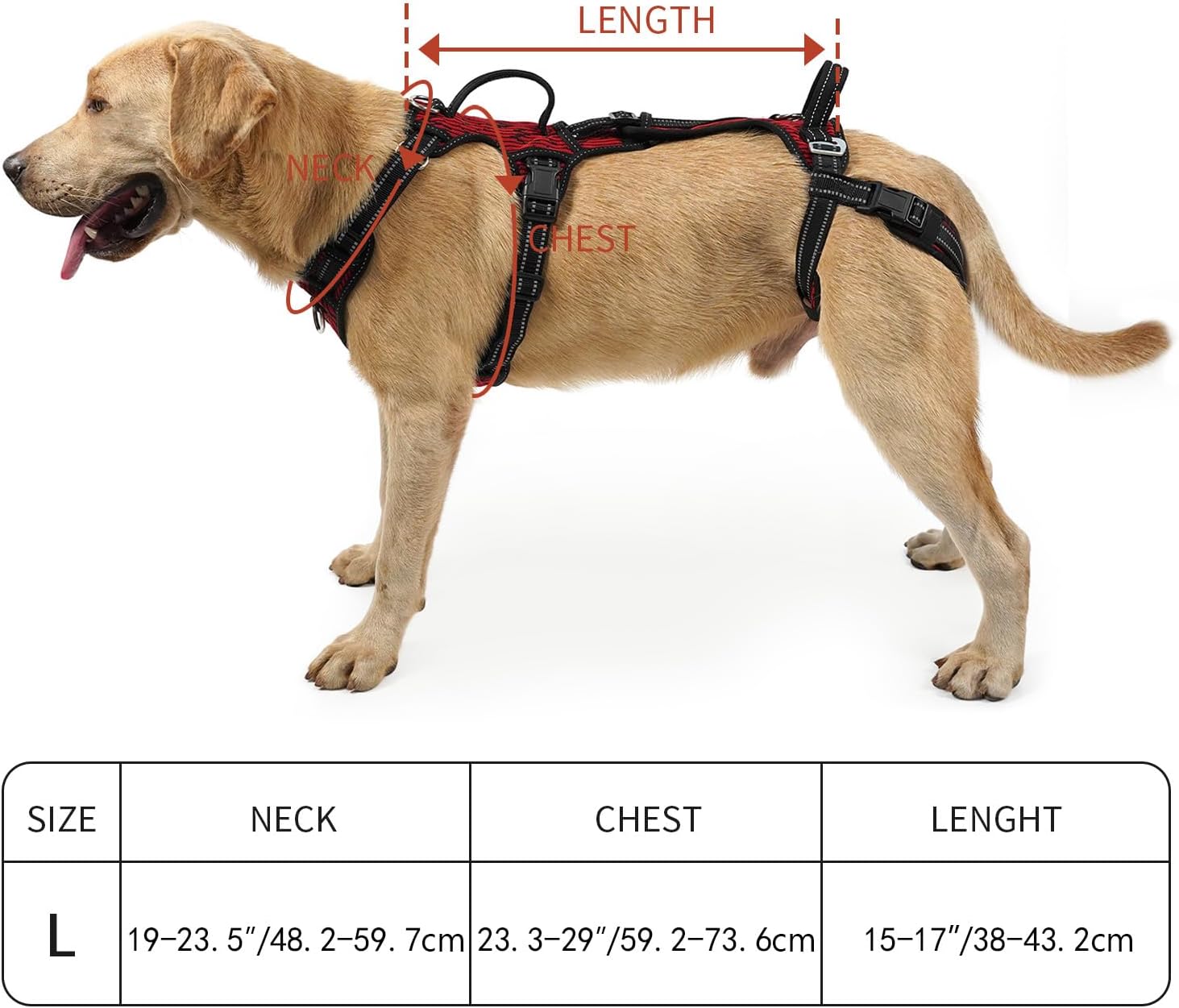 COODEO Mobility Dog Lift Harness, Support Sling & Walking Sling for Dogs, Pet Rear Leg Rehabilitation Support Vest, Dog Carrier for Senior Dogs with Joint Injuries, Arthritis, Up Stair (Red, L)