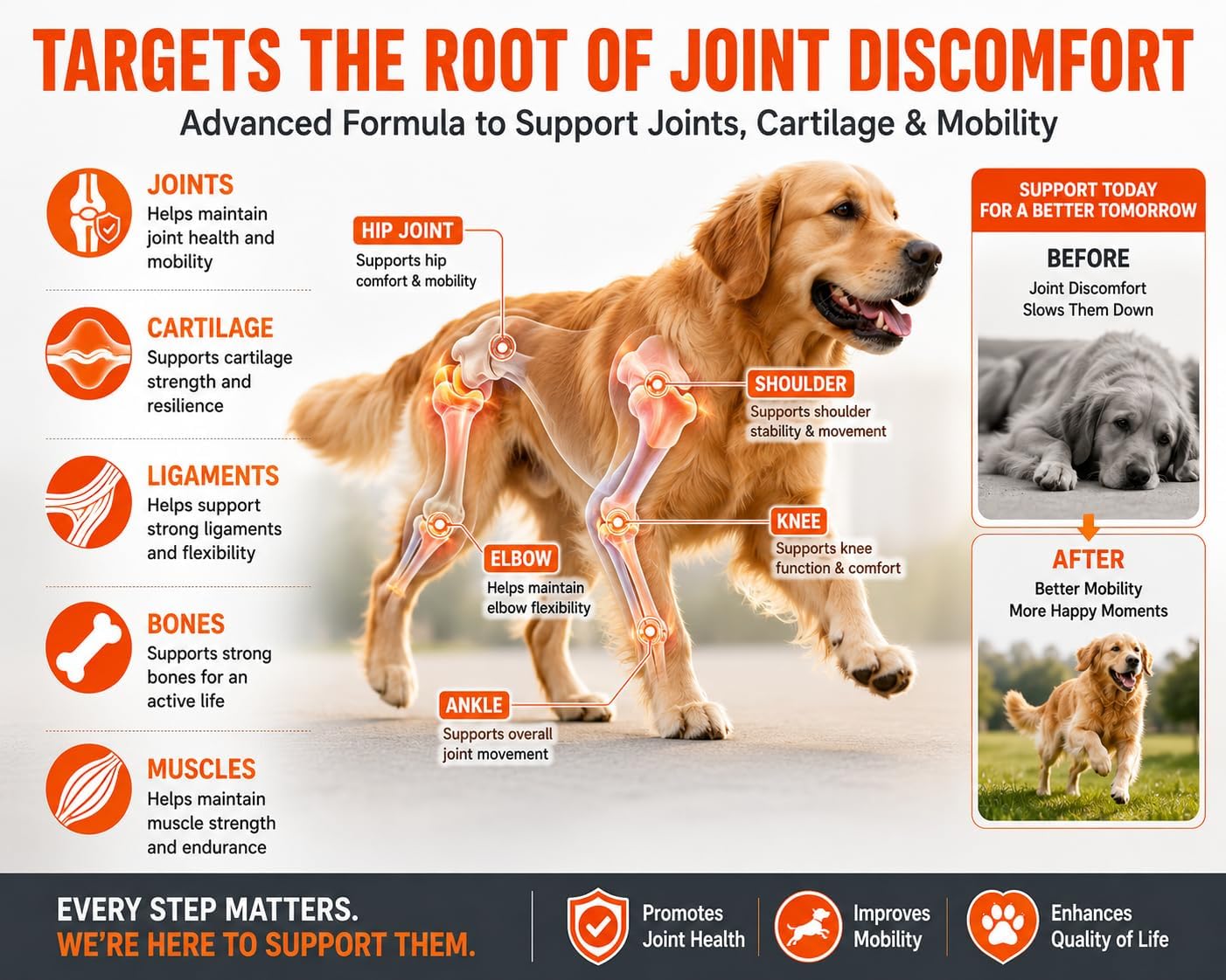 LANDCE Hip and Joint Chews for Dogs 200 Soft Chews Glucosamine Chondroitin MSM Mobility Support — view 4