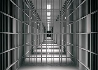 Modern Prison Backdrop BELECO 10x8ft Fabric Jail Bars Backdrop Jail Cell Mug Shot Prison Background Police Props Narco Party Criminal Birthday Party Decorations Jail for Kids Boys Funny Photography