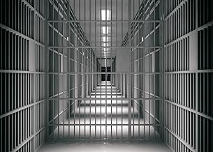 Modern Prison Backdrop BELECO 10x8ft Fabric Jail Bars Backdrop Jail Cell Mug Shot Prison Background Police Props Narco Party Criminal Birthday Party Decorations Jail for Kids Boys Funny Photography