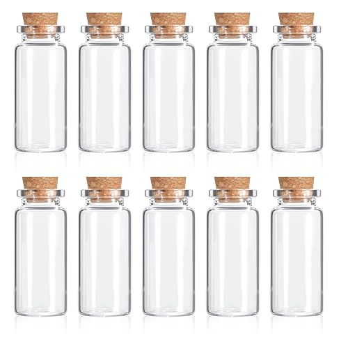 10 Pcs Small Glass Bottles with Cork Lids Small Glass