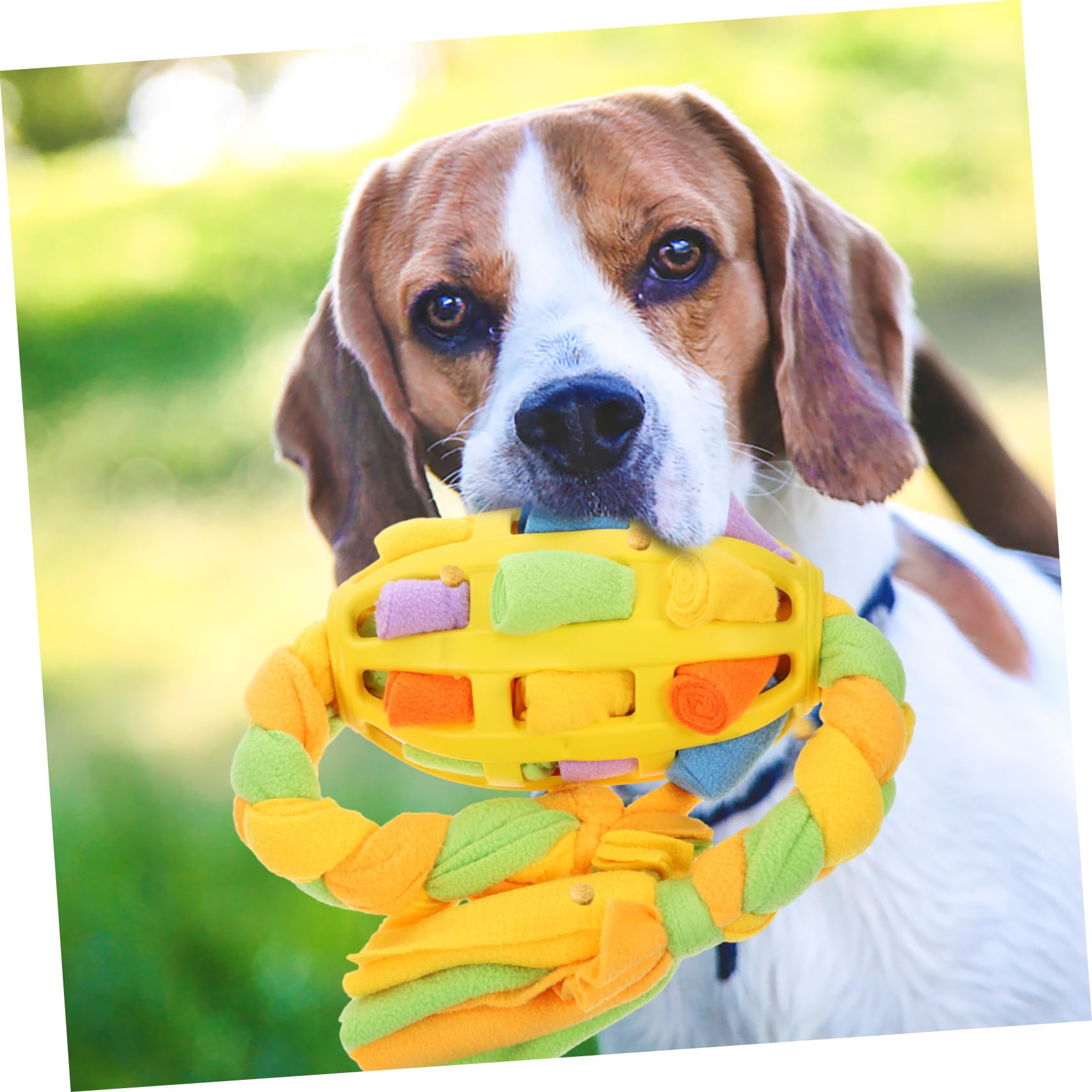 Toyvian Jouet à Renifler pour Chien Balle à Friandises Interactive Encourage La Recherche De Nourriture Mangeoire pour Entraînement