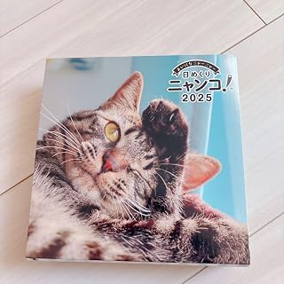 日めくりニャンコ2025年 卓上 日めくり カレンダー 猫 本体 台座付き