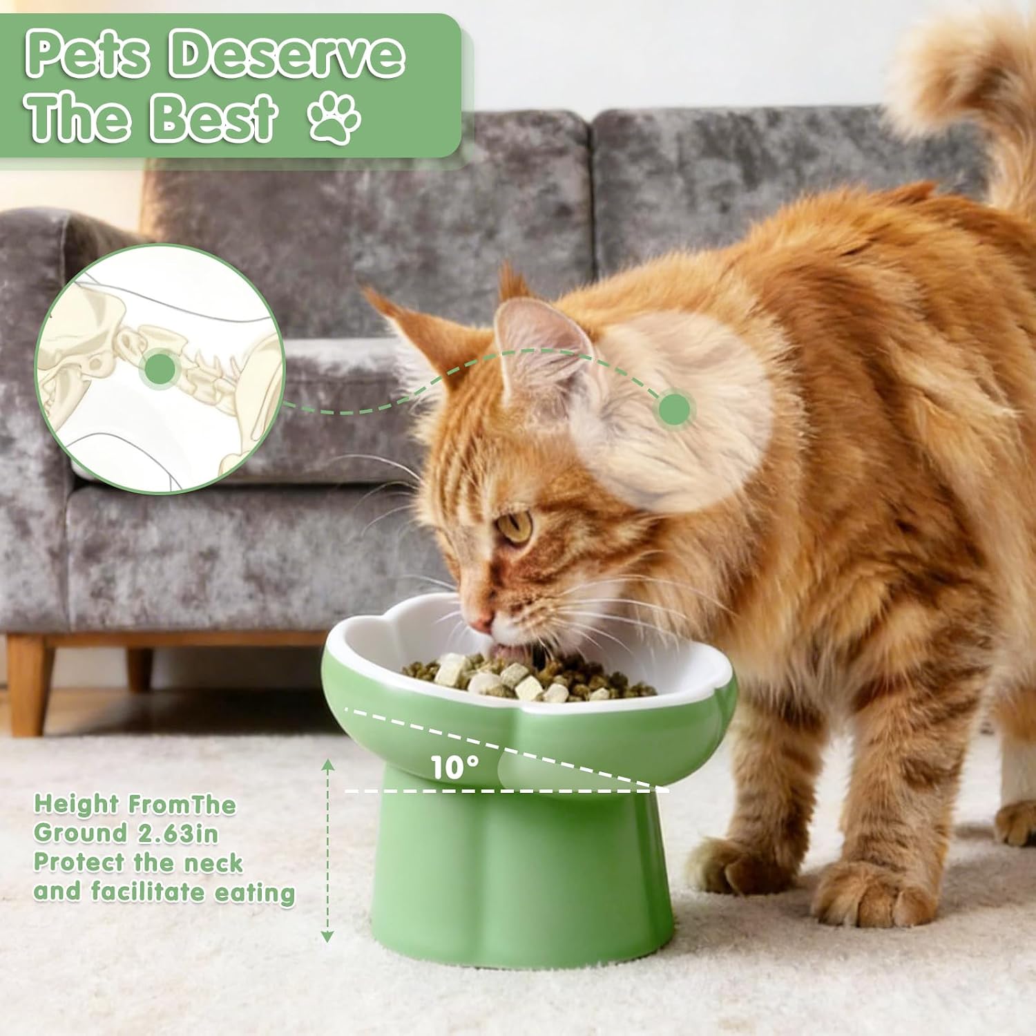 Cat Slow Feeder Bowl Set,1 Pcs Pastel Series Cat Plate for Dry and Wet Food | Cute Maze Feeder Dish for Healthy Eating- Slow Feeding Bowls Whisker Friendly - Dishwasher Safe(Green)